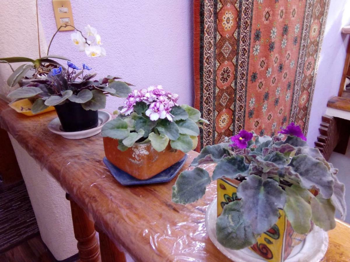 Casa Paanoramica Apartman Valle de Bravo Kültér fotó